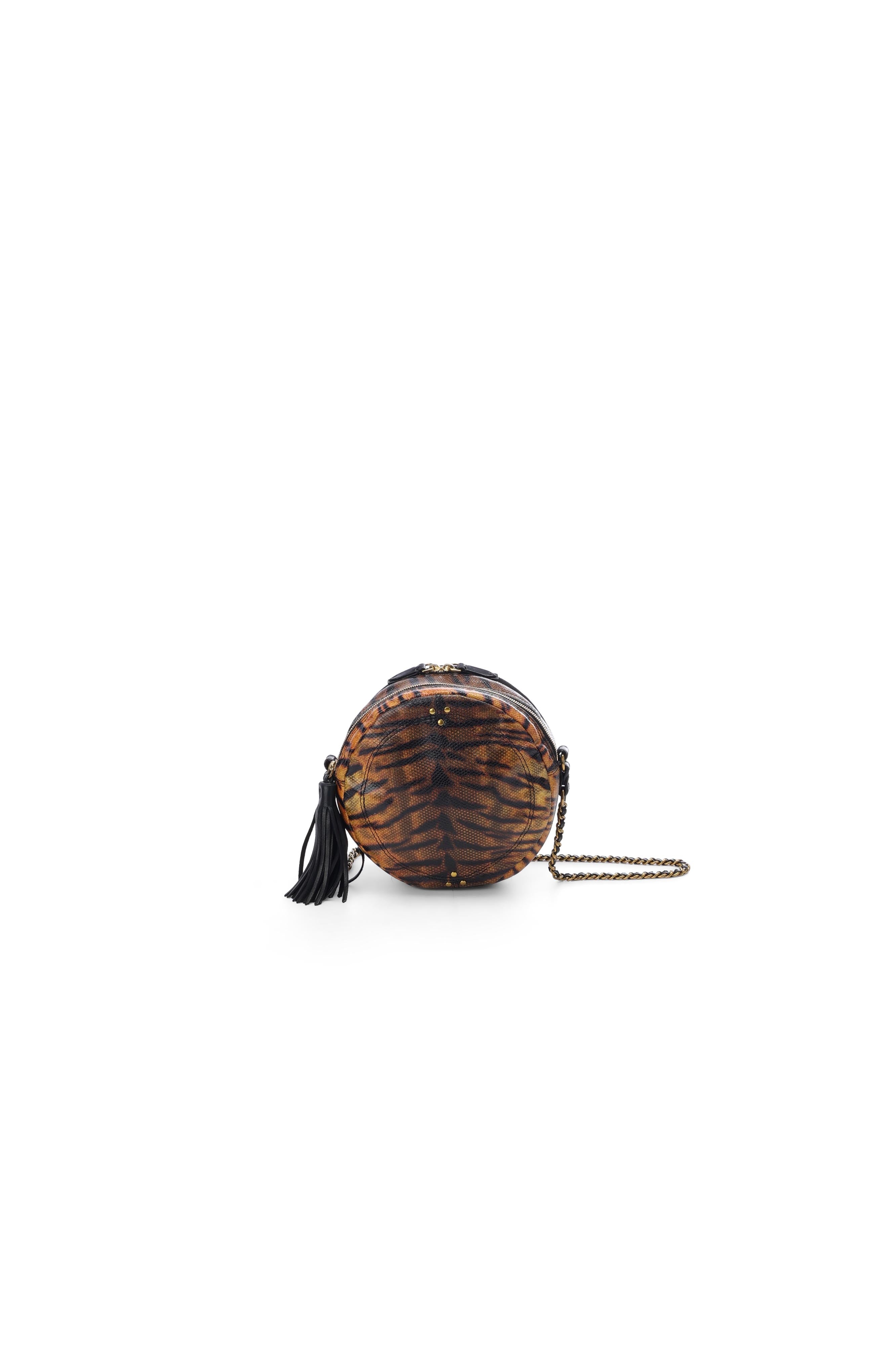 Rémi Python tigre Jerome Dreyfuss