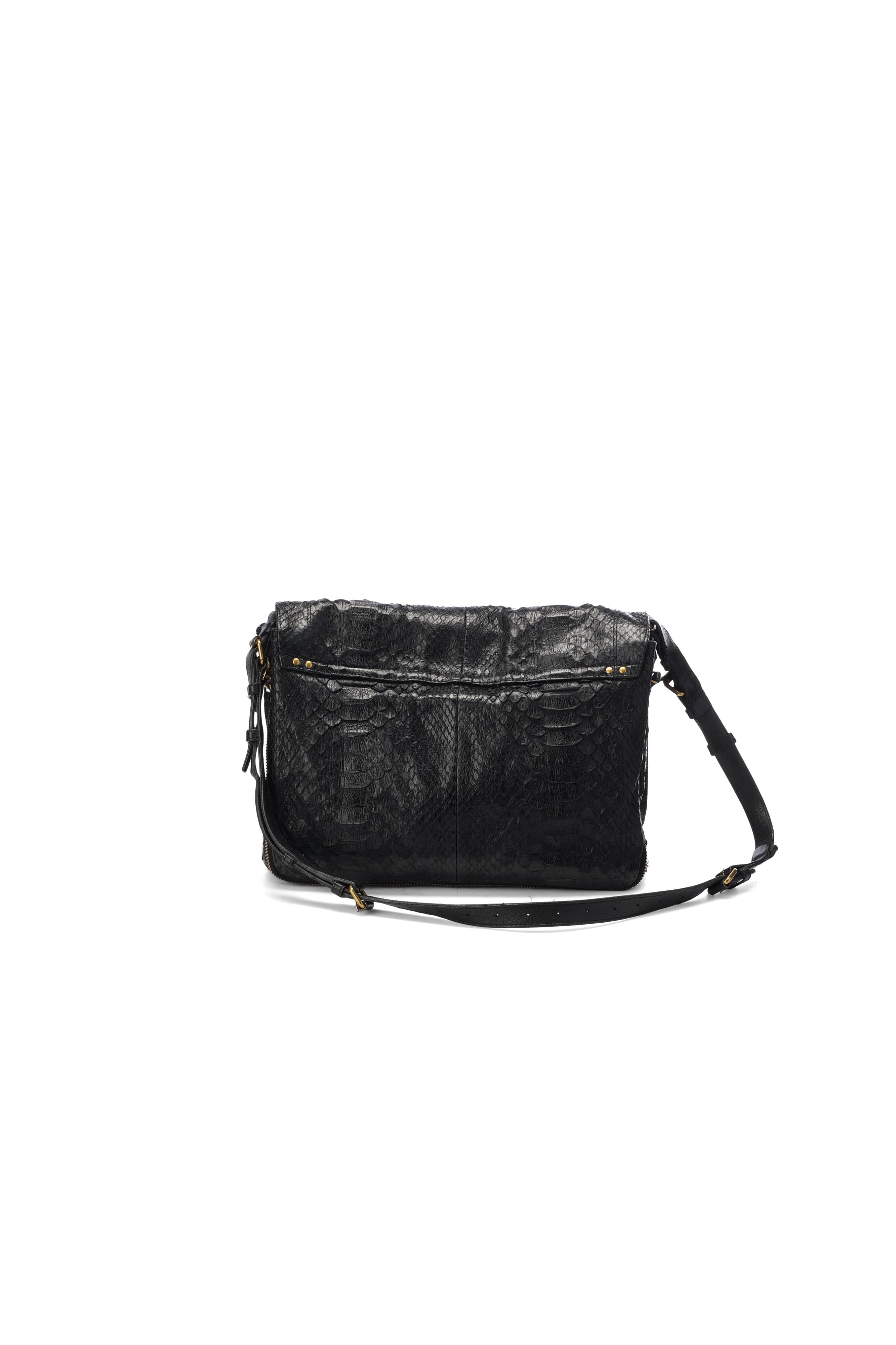 Albert python noir Jerome Dreyfuss