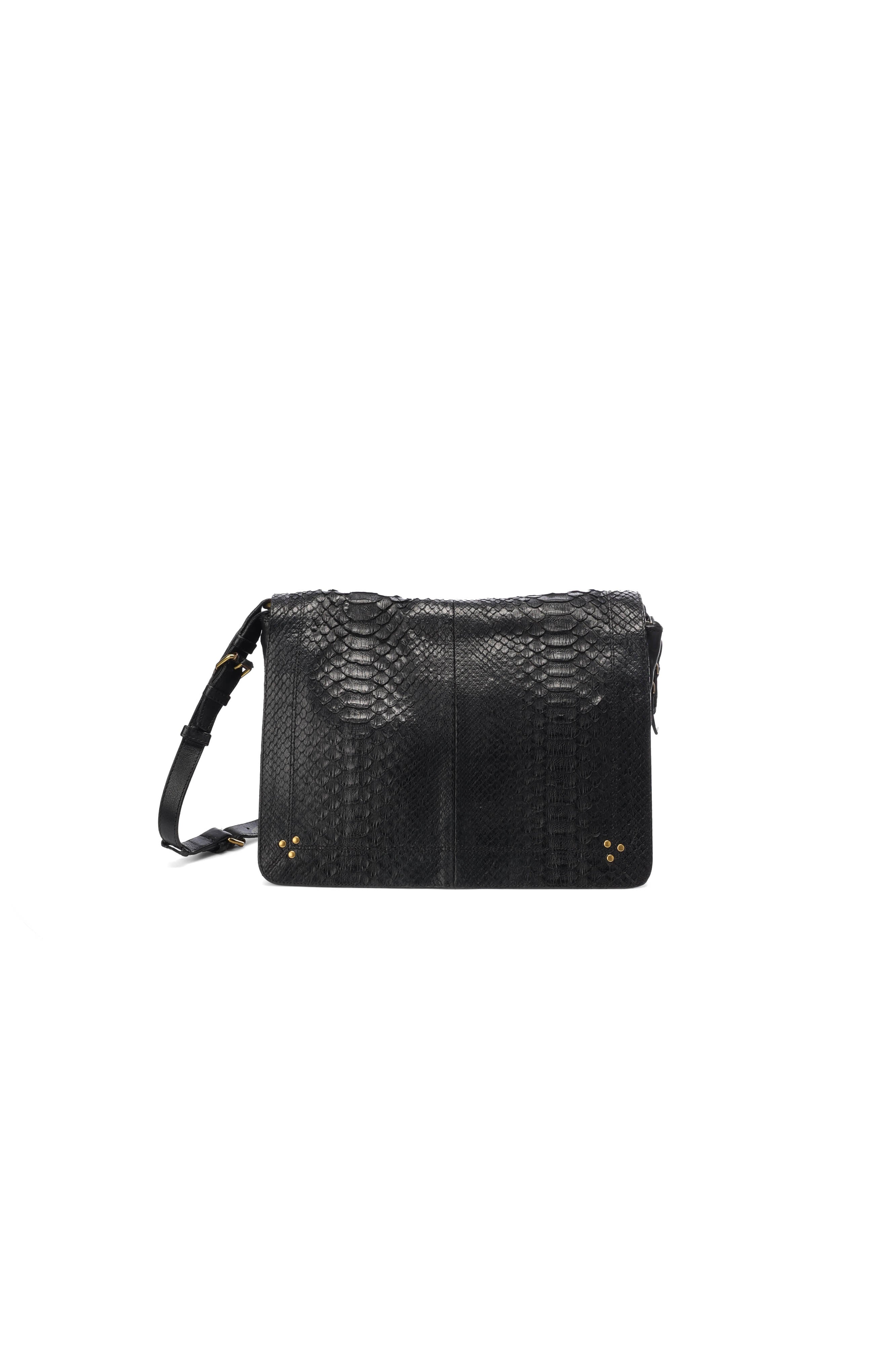 Albert python noir Jerome Dreyfuss