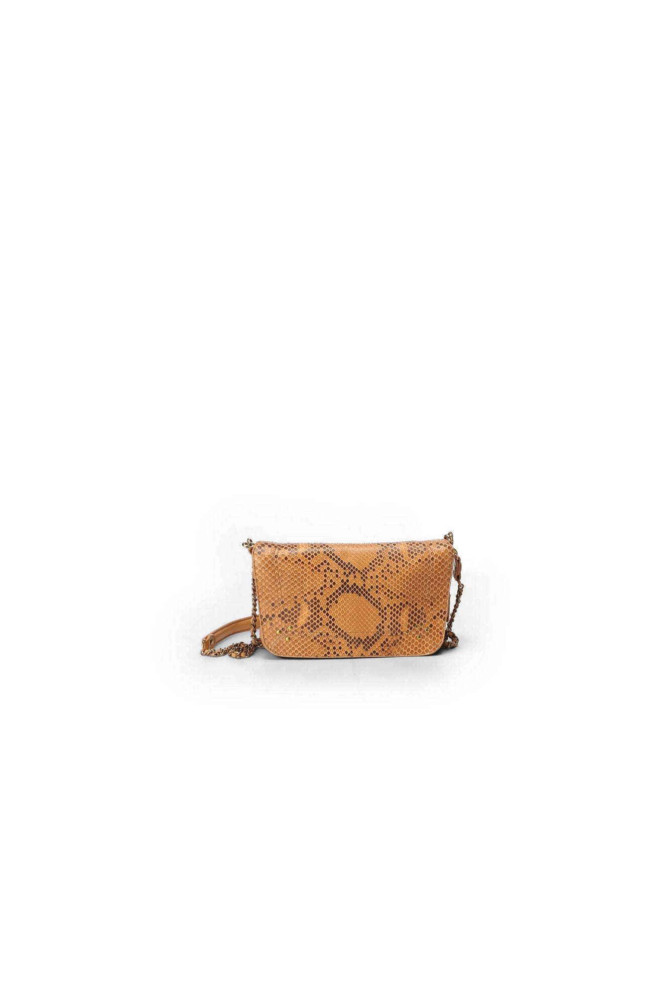 Bobi S python Gold Jerome Dreyfuss