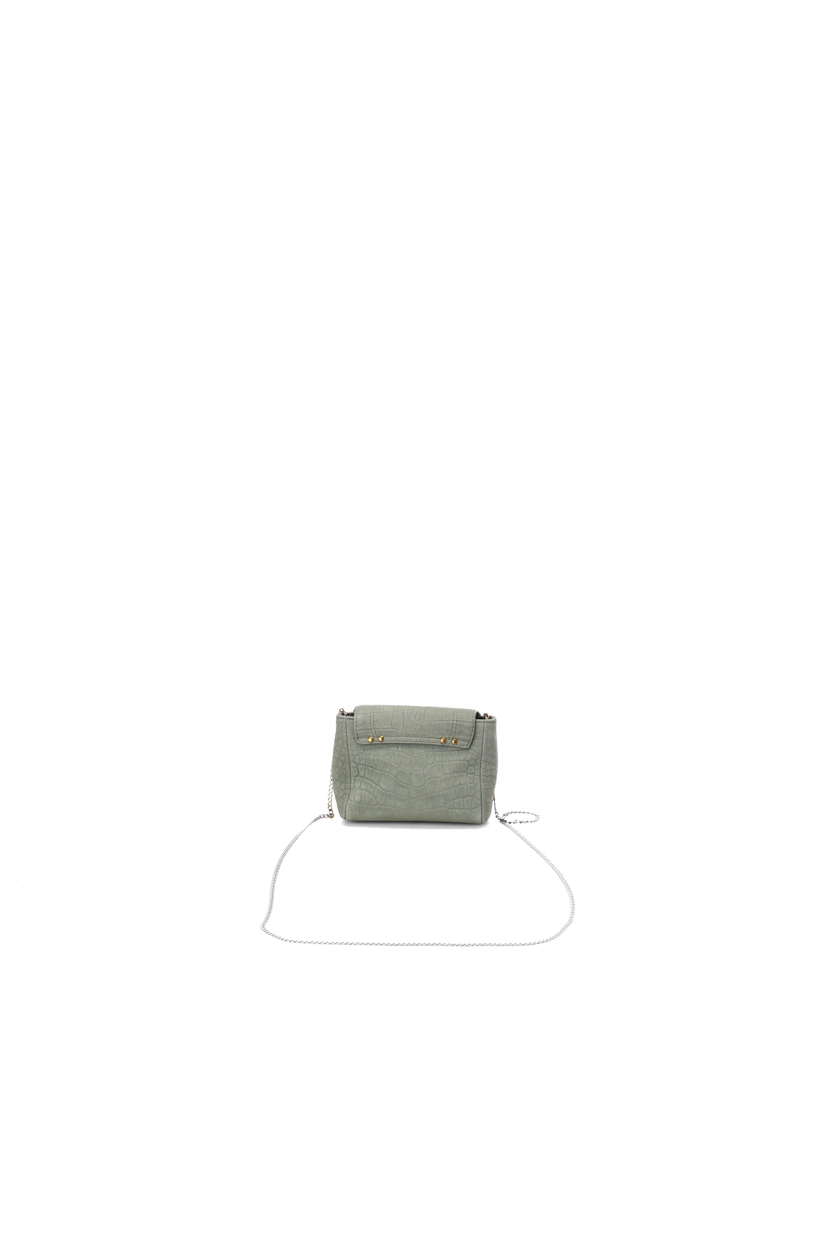 Lulu XS croco lichen Jerome Dreyfuss