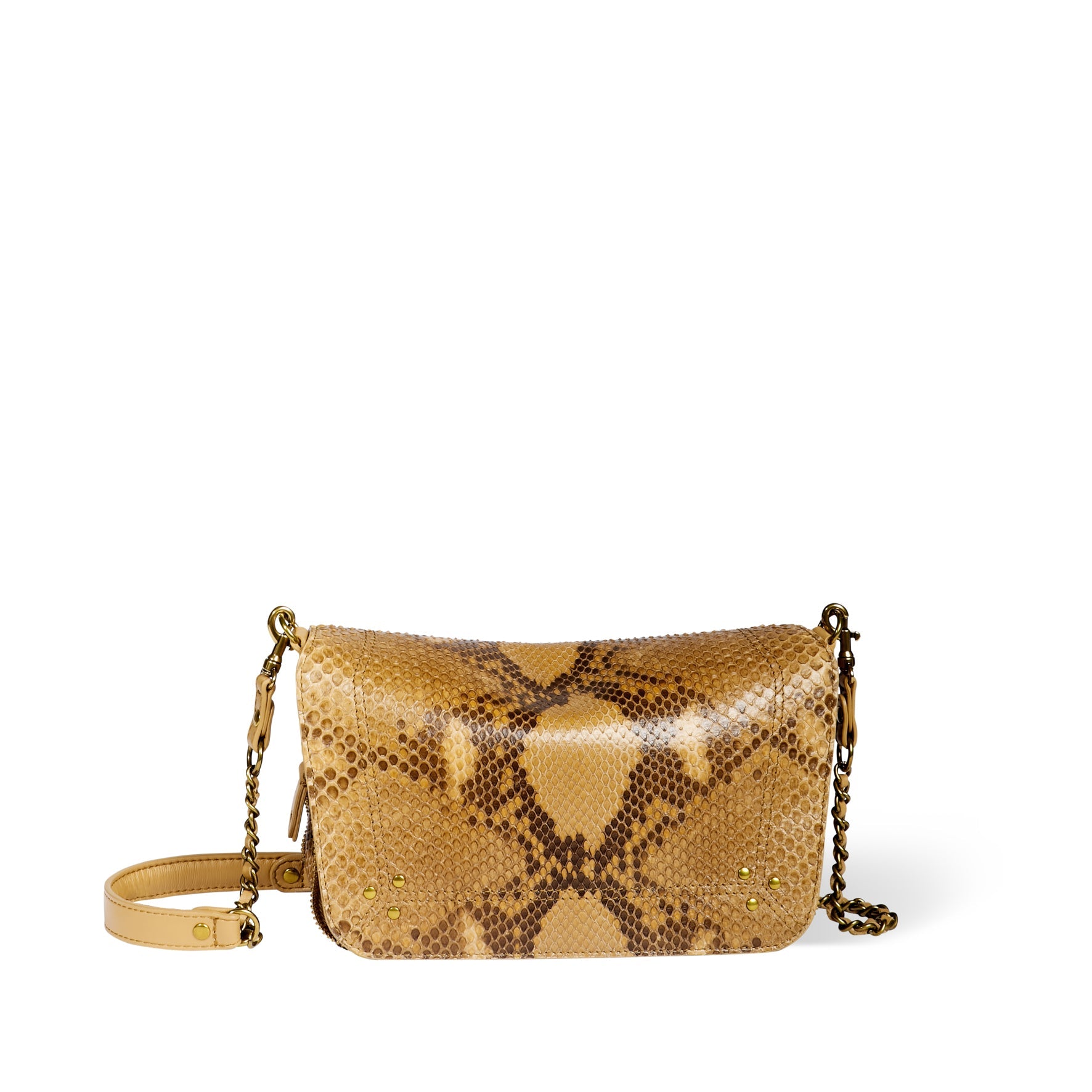 Bobi S python Gold Jerome Dreyfuss