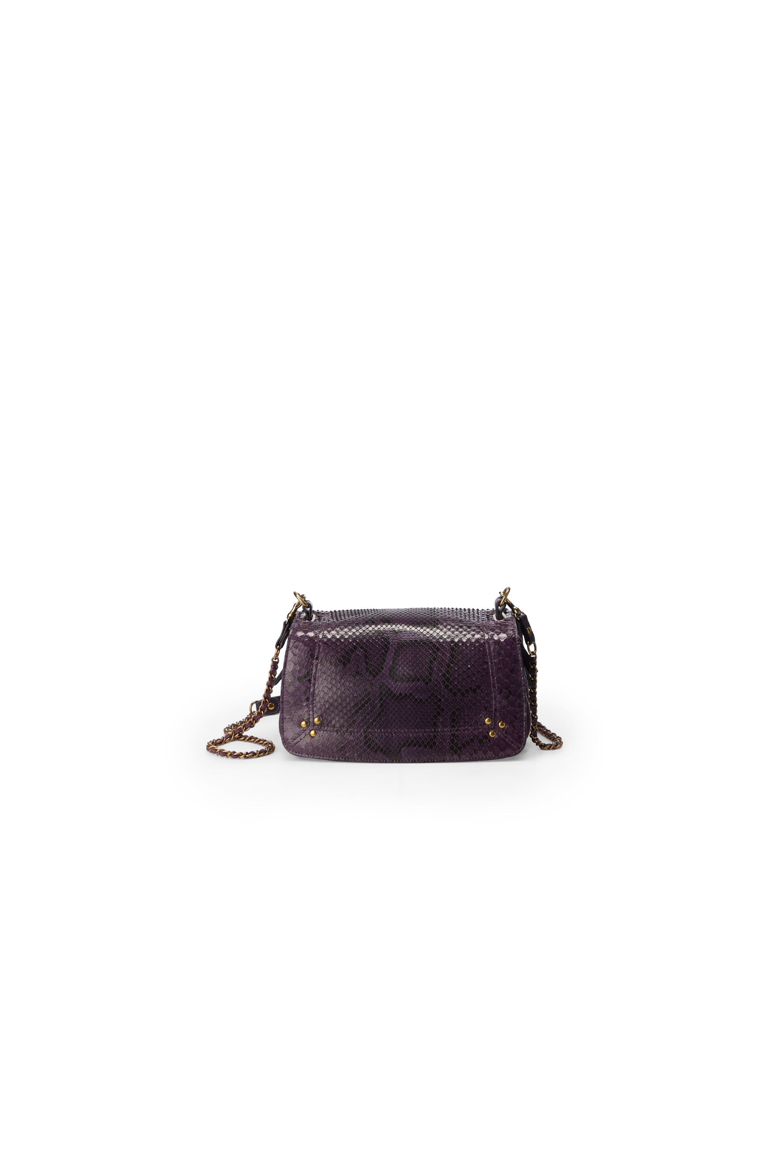 Bobi python Prune Jerome Dreyfuss