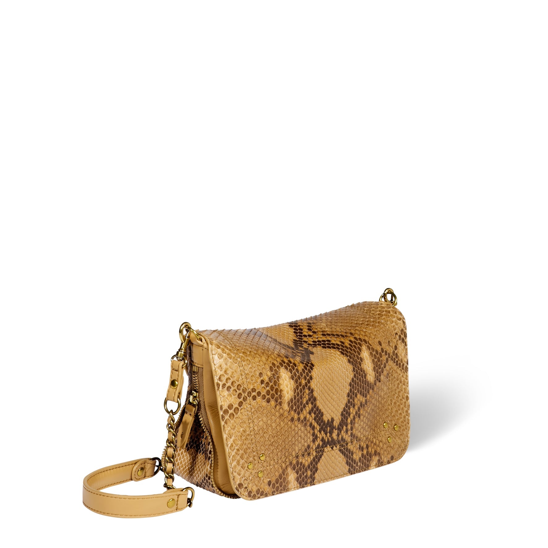 Bobi S python Gold Jerome Dreyfuss