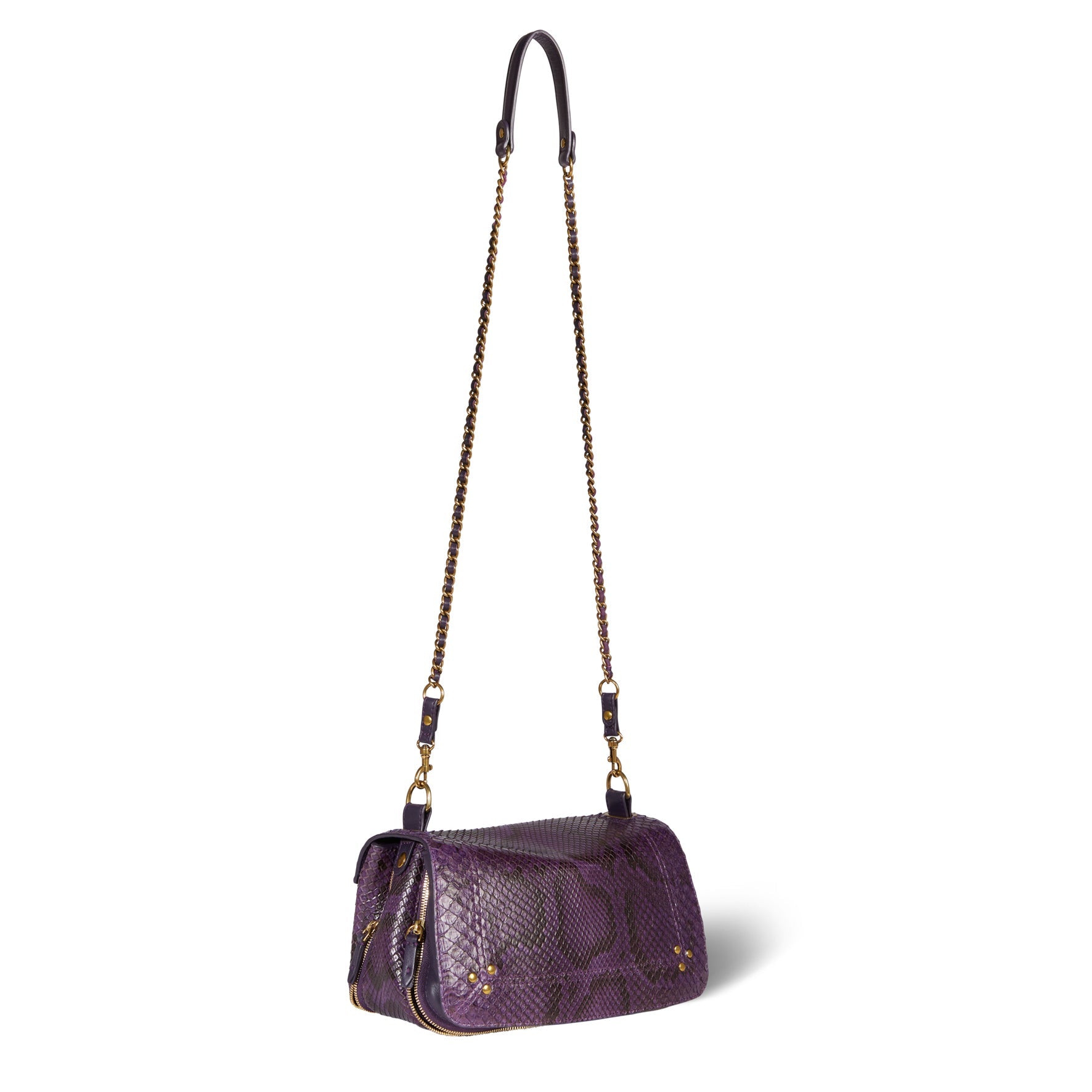 Bobi python Prune Jerome Dreyfuss