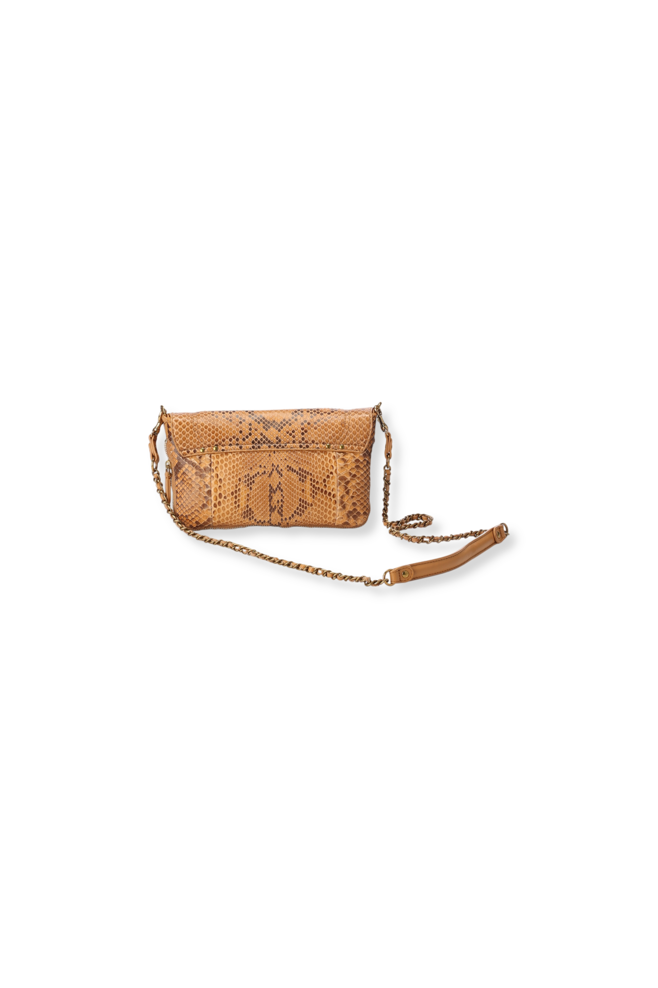 Bobi S python Gold Jerome Dreyfuss