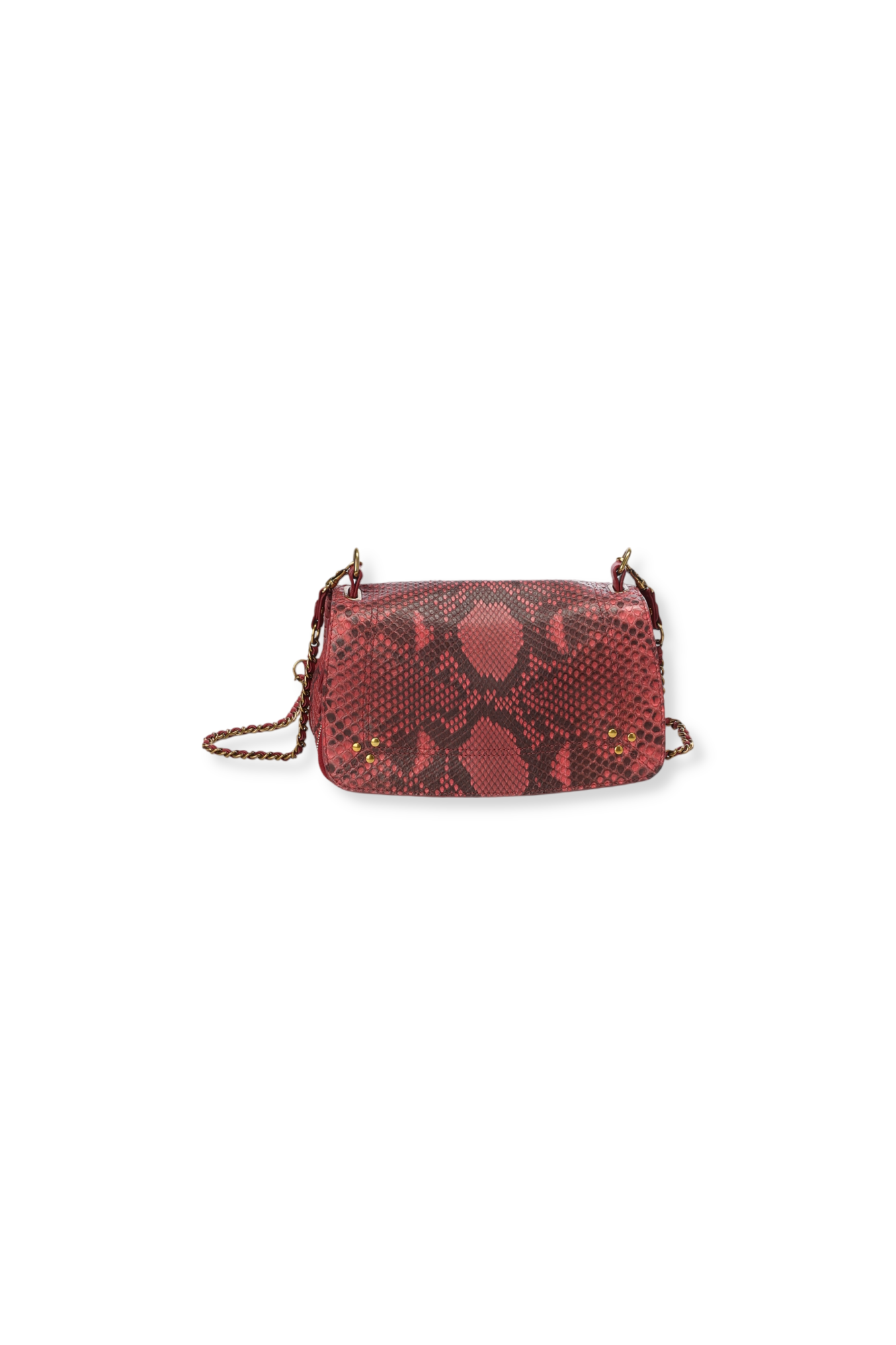 Bobi python framboise Jerome Dreyfuss