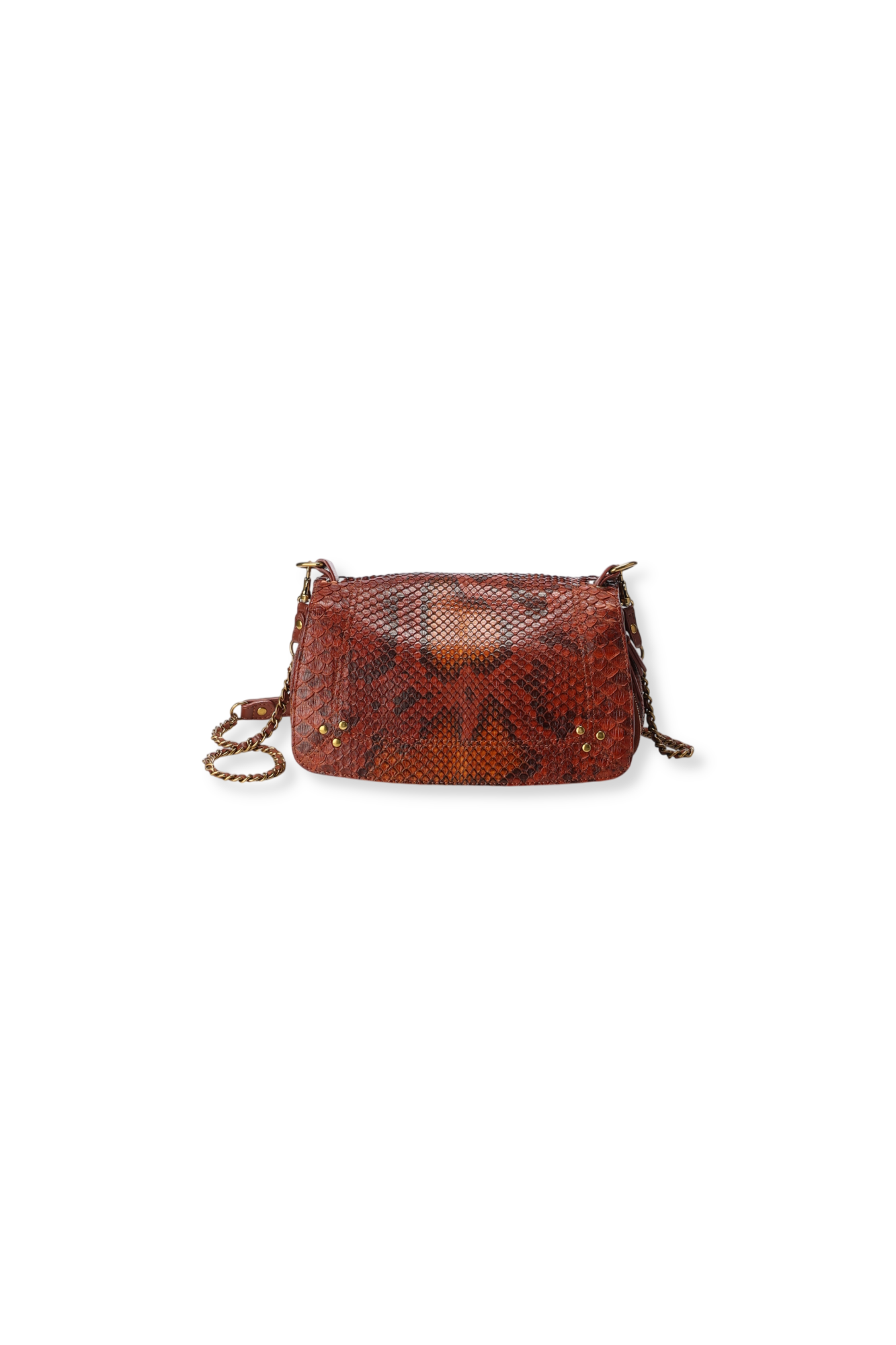 Bobi taurillon Croco Lion Jerome Dreyfuss