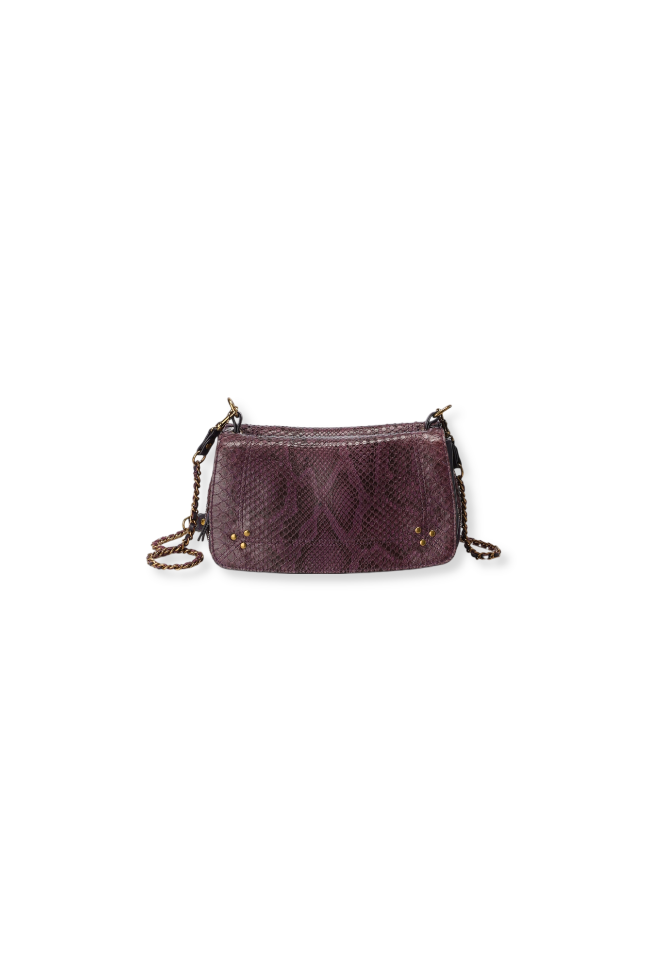 Bobi python Prune Jerome Dreyfuss