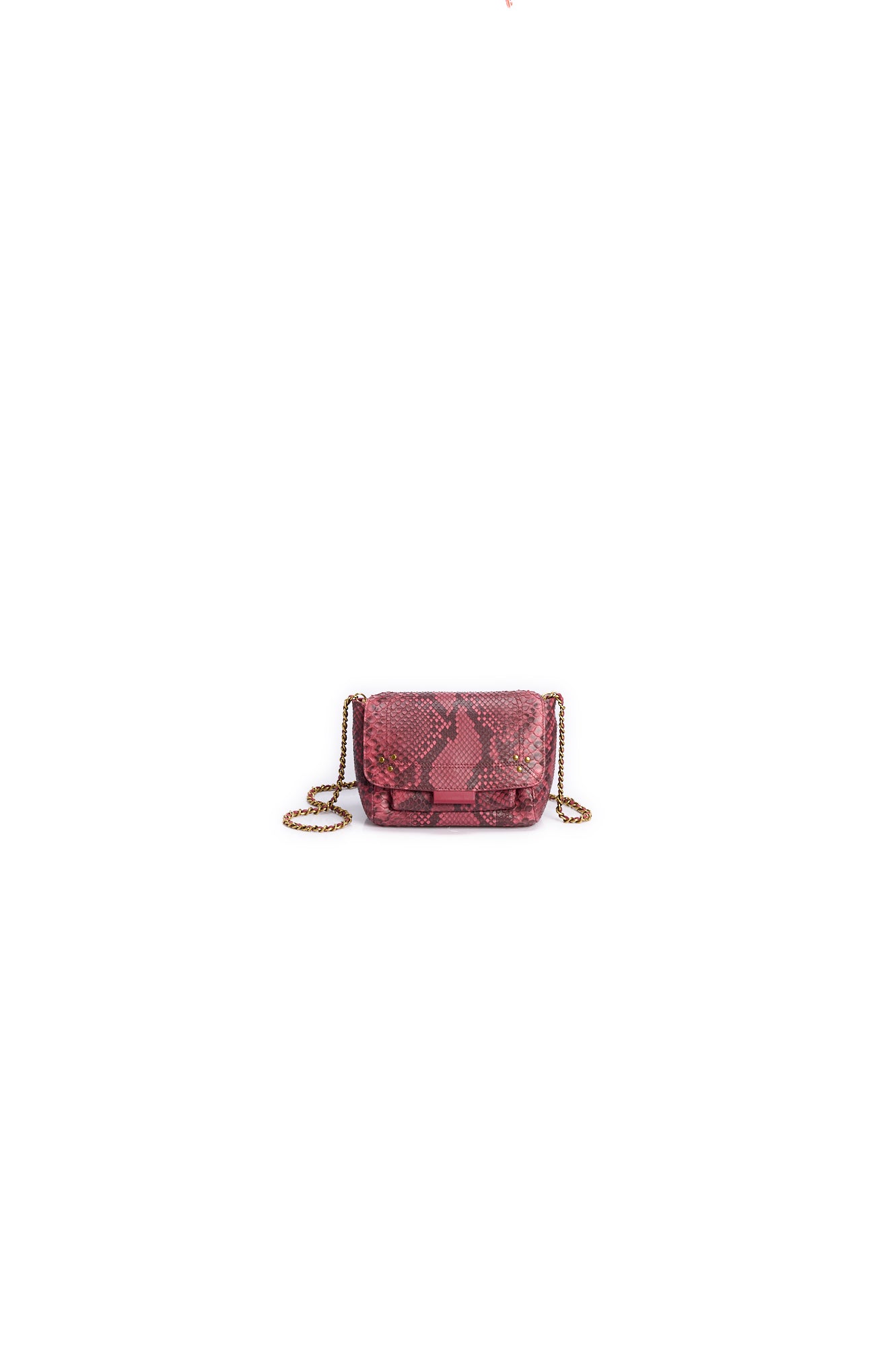 Lulu S python framboise Jerome Dreyfuss
