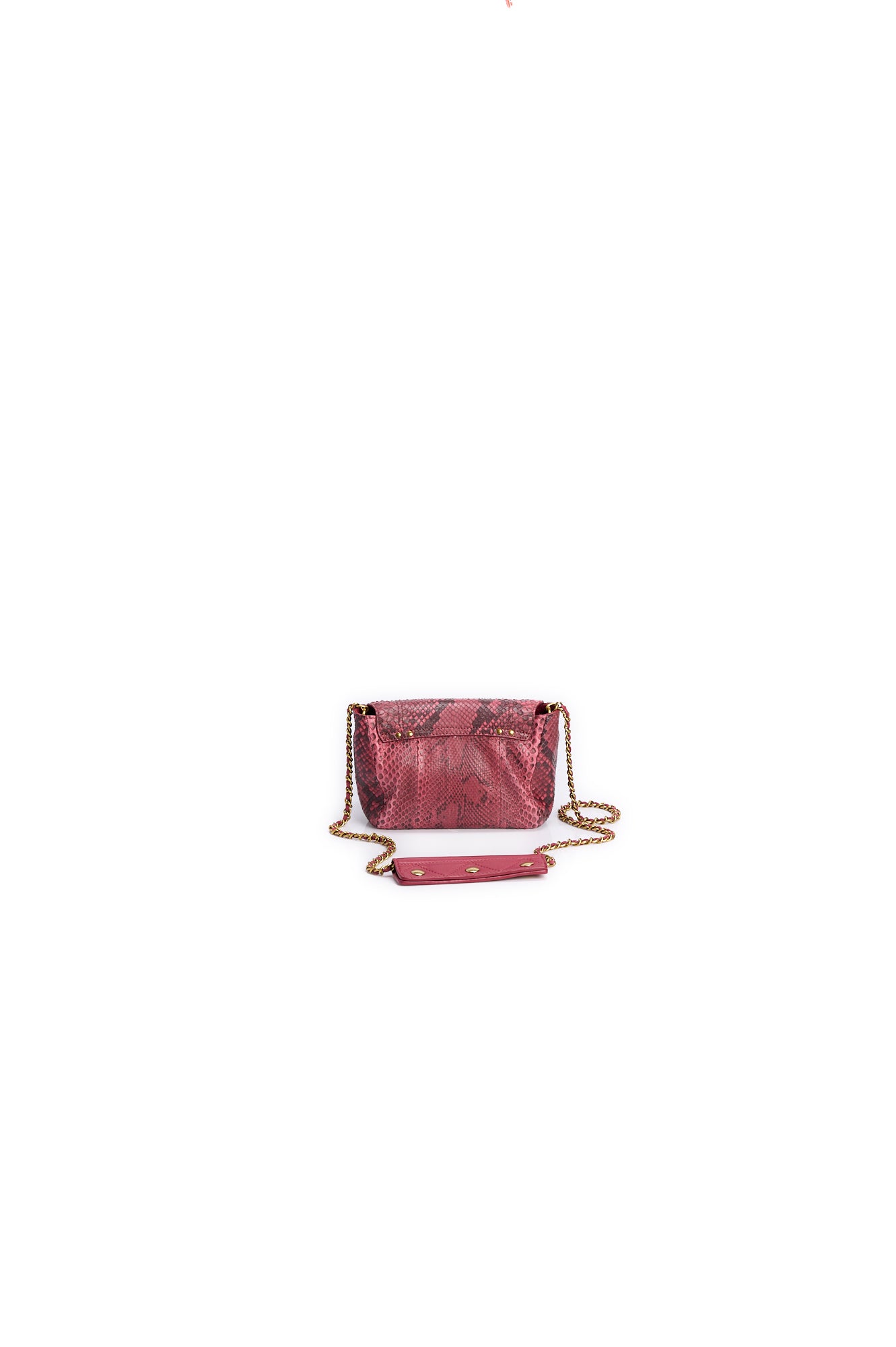 Lulu S python framboise Jerome Dreyfuss