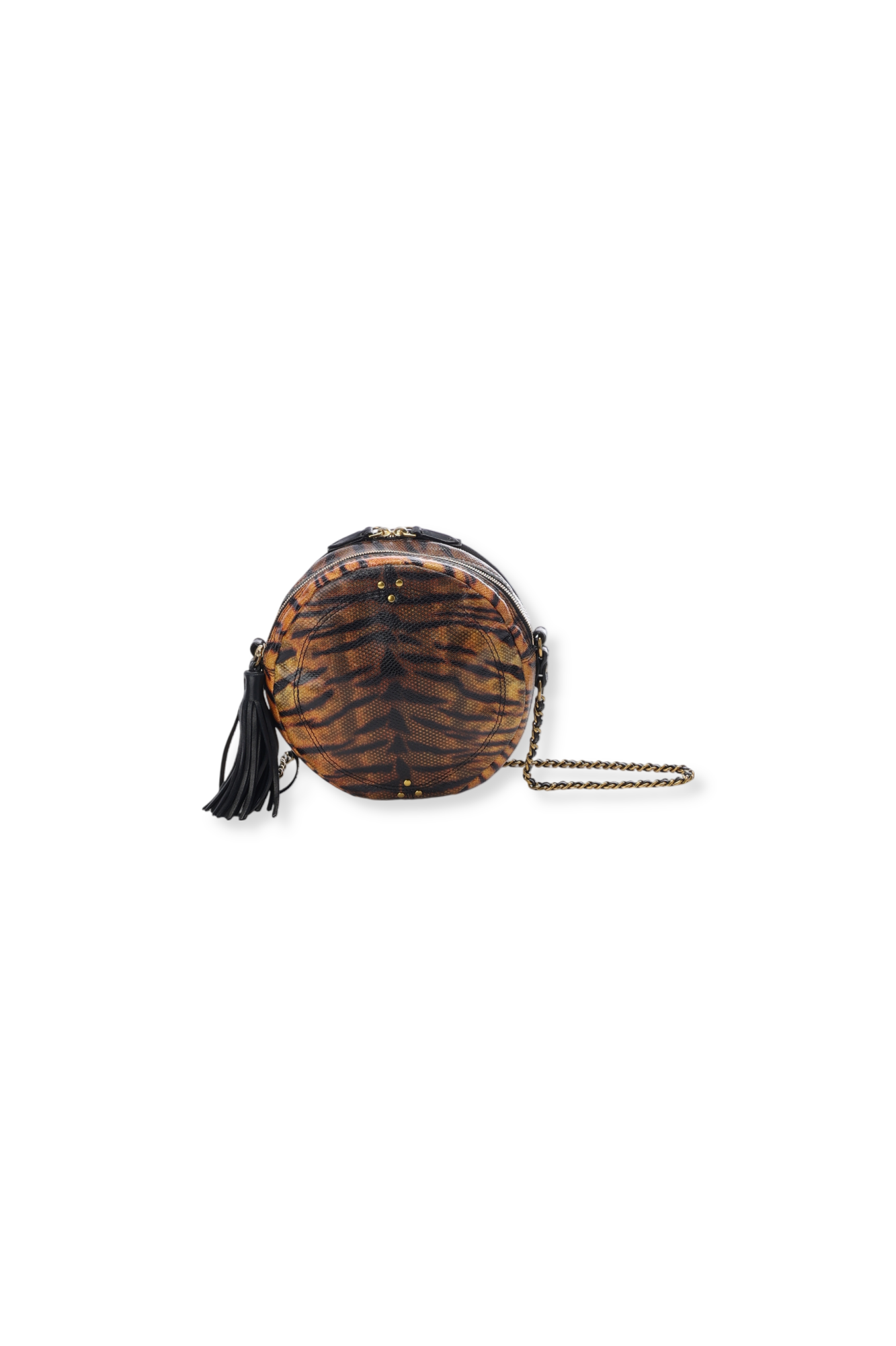 Rémi Python tigre Jerome Dreyfuss