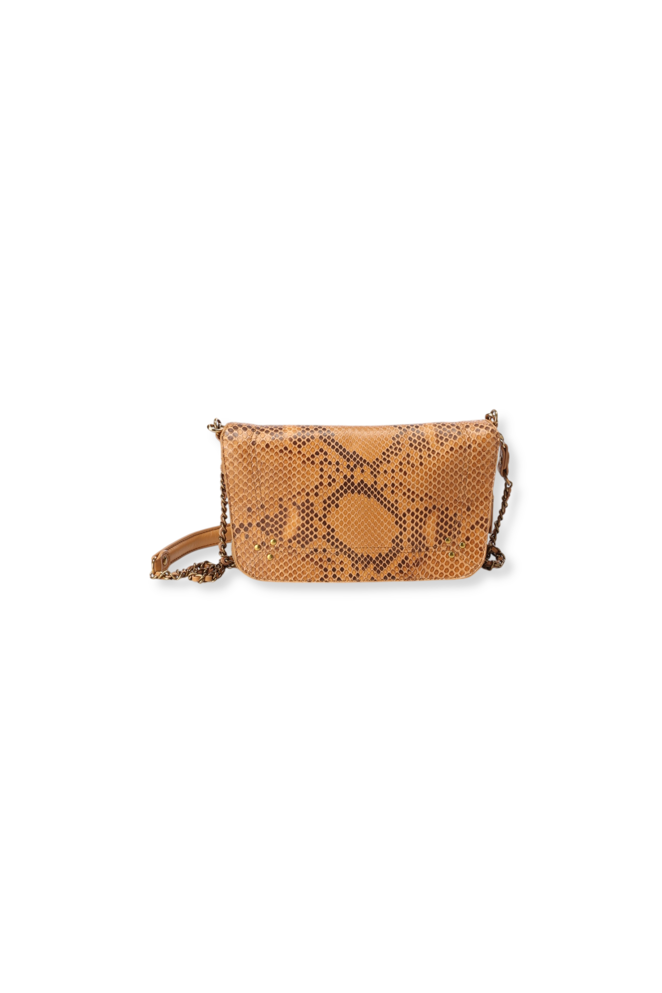 Bobi S python Gold Jerome Dreyfuss