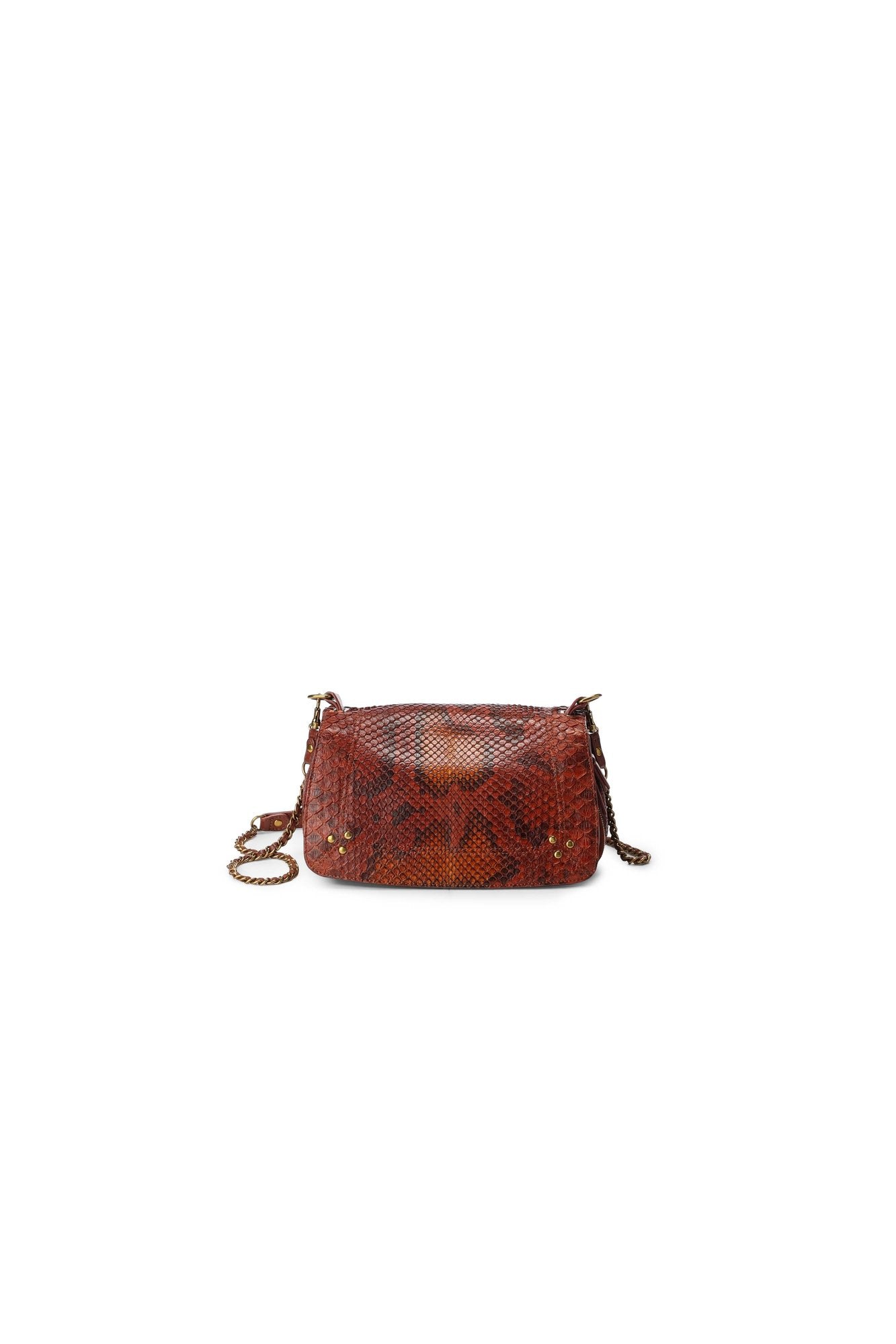 Bobi taurillon Croco Lion Jerome Dreyfuss