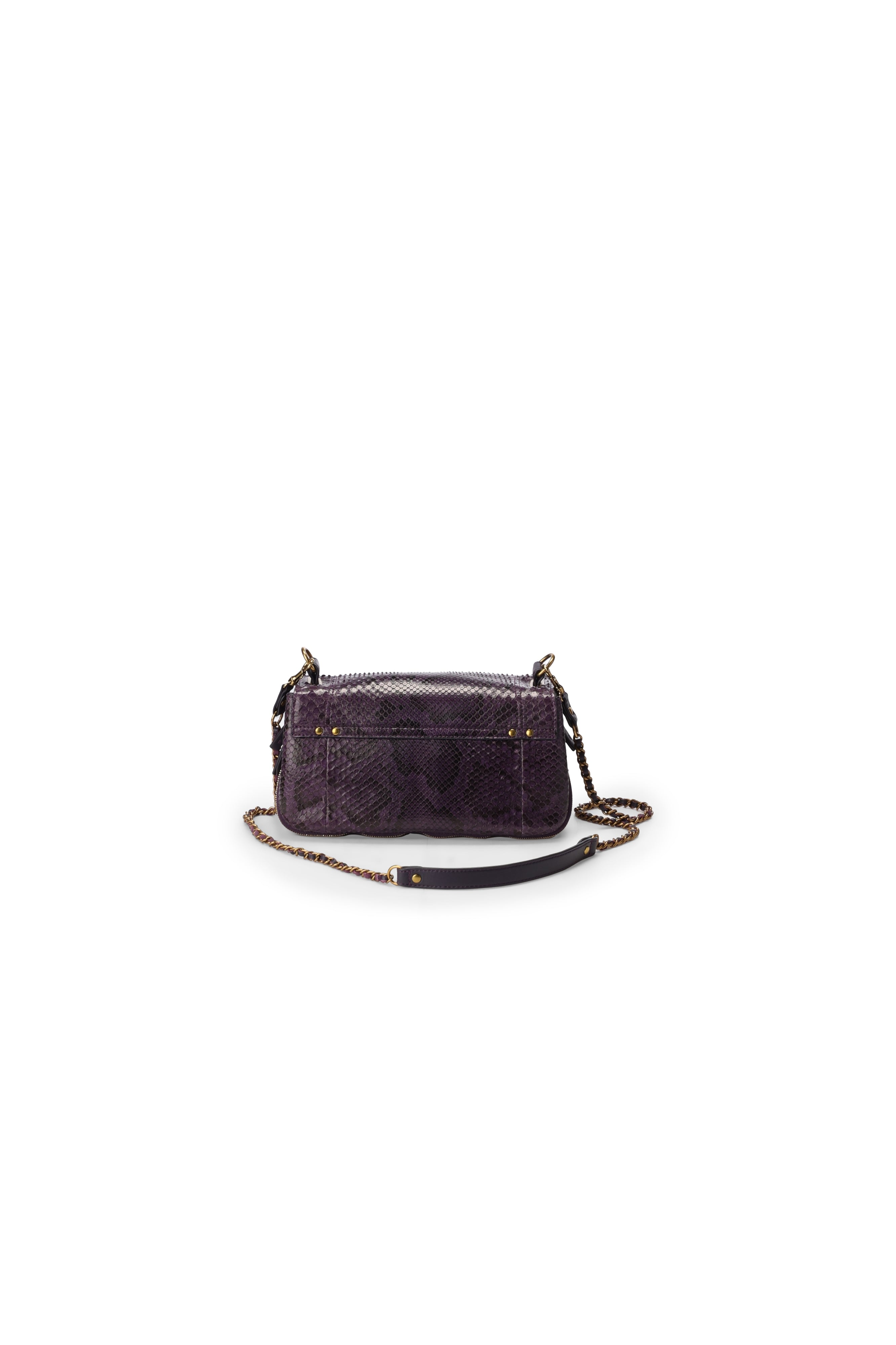 Bobi python Prune Jerome Dreyfuss