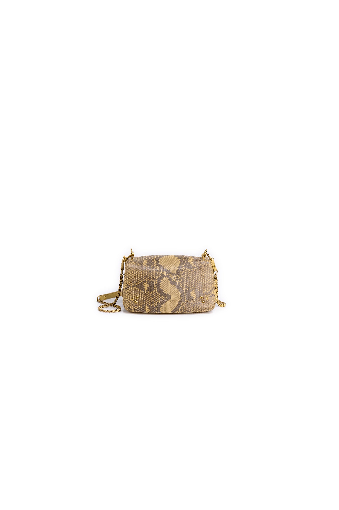 Bobi python paille Jerome Dreyfuss