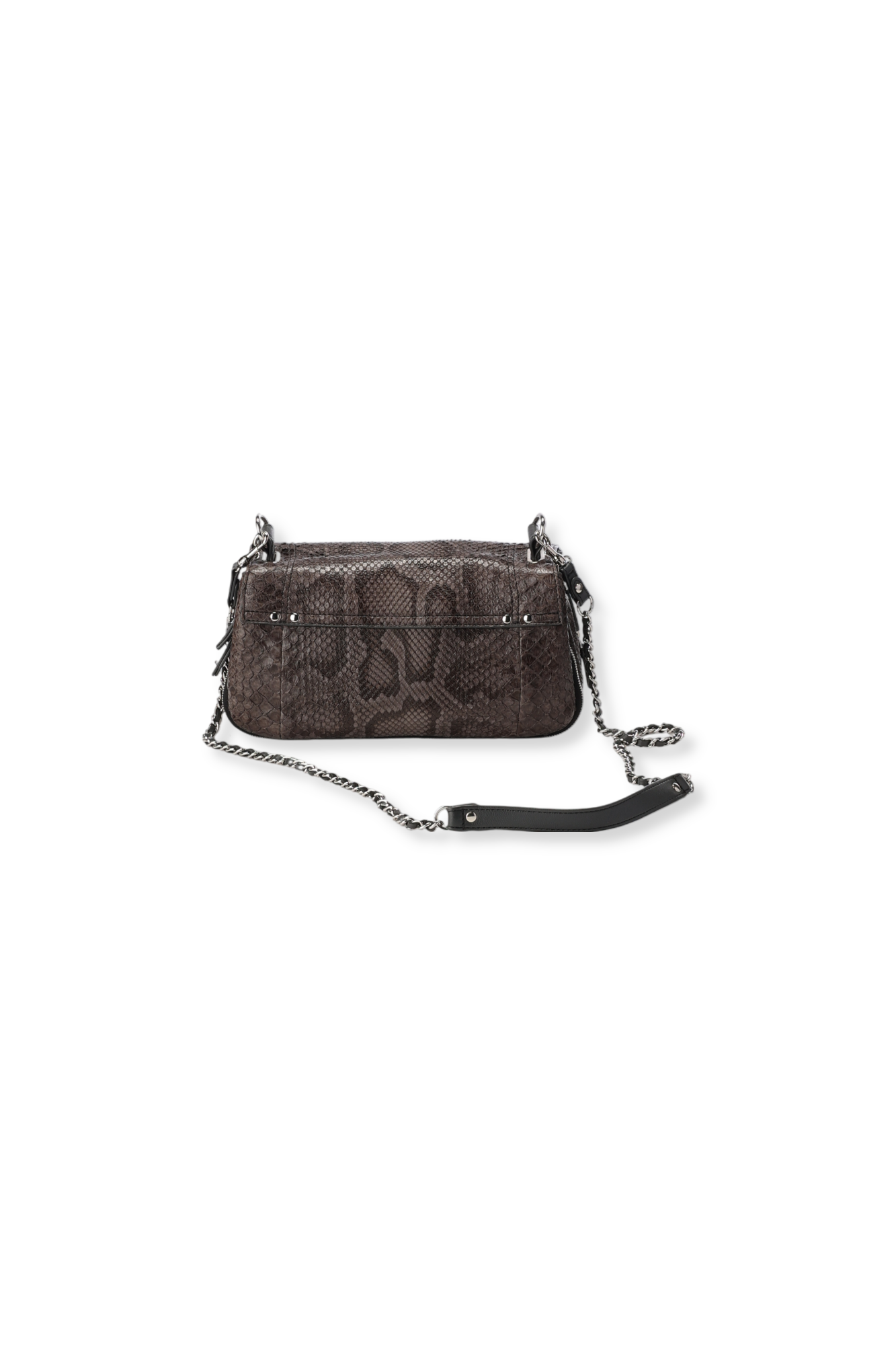 Bobi Python Ardoise Jerome Dreyfuss
