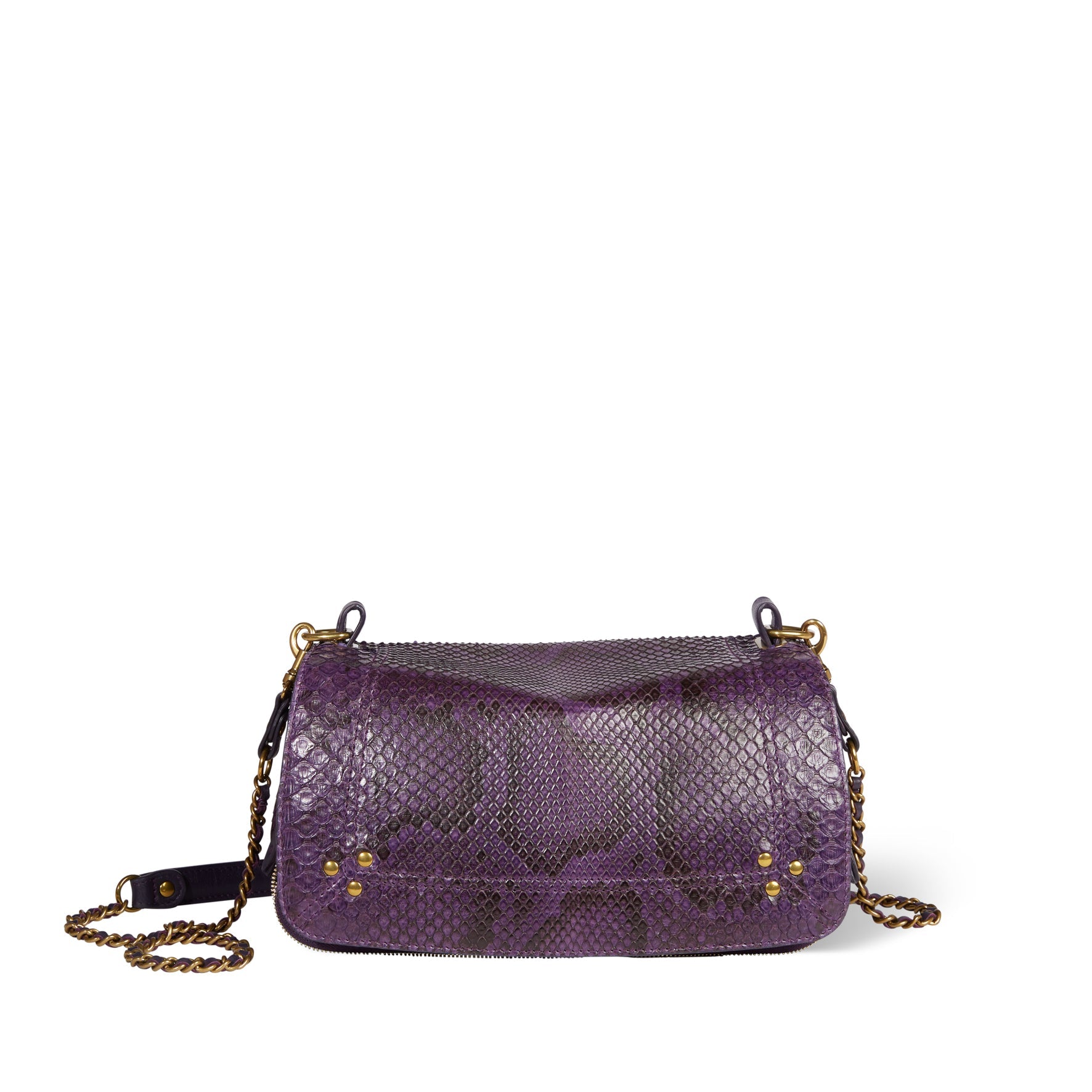 Bobi python Prune Jerome Dreyfuss