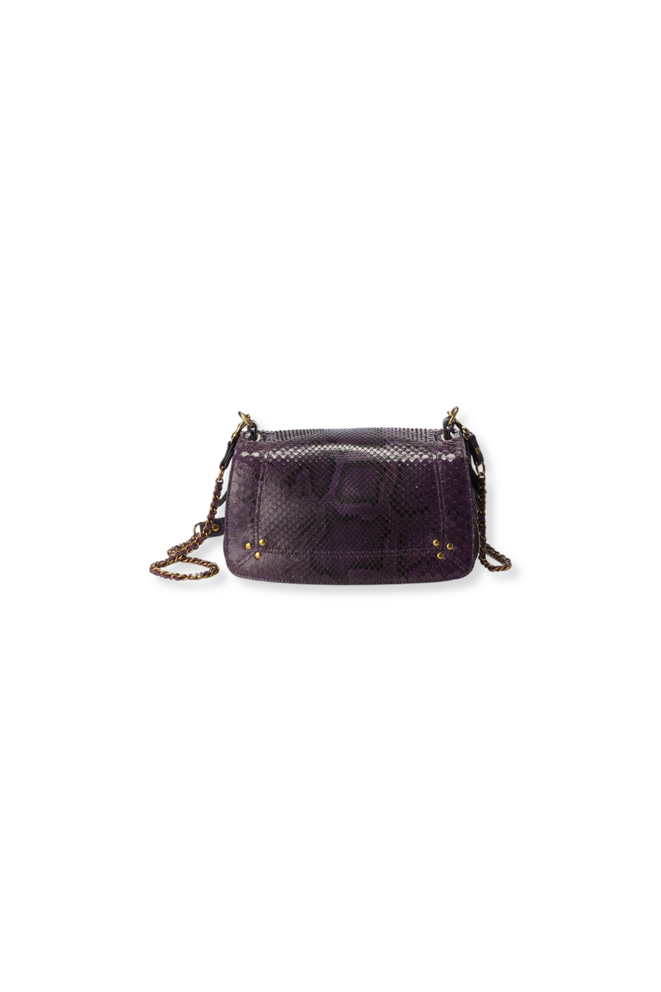 Bobi python Prune Jerome Dreyfuss