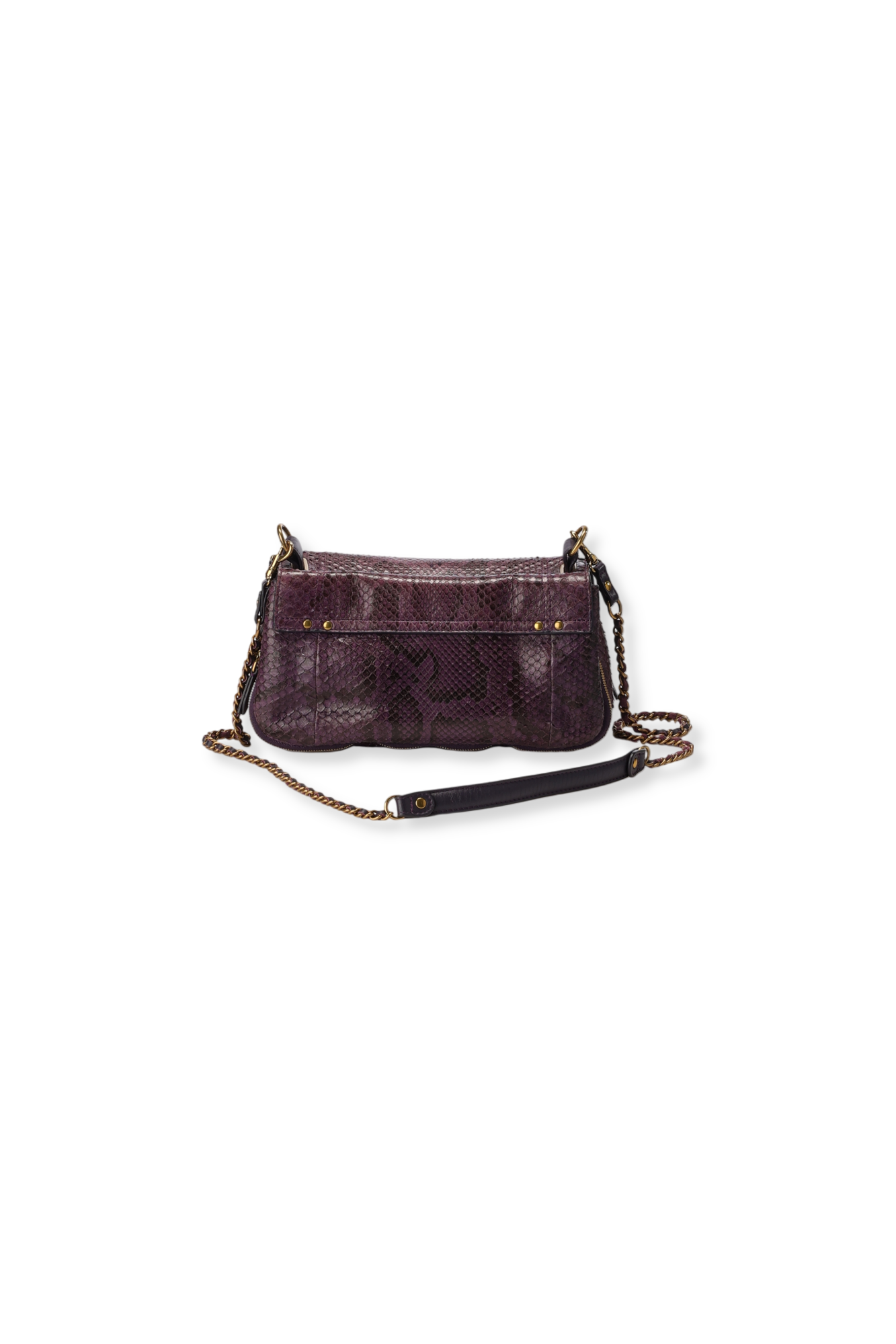 Bobi python Prune Jerome Dreyfuss