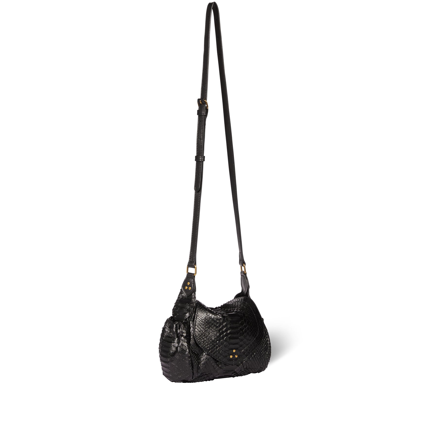 Helmut S python Noir Jerome Dreyfuss