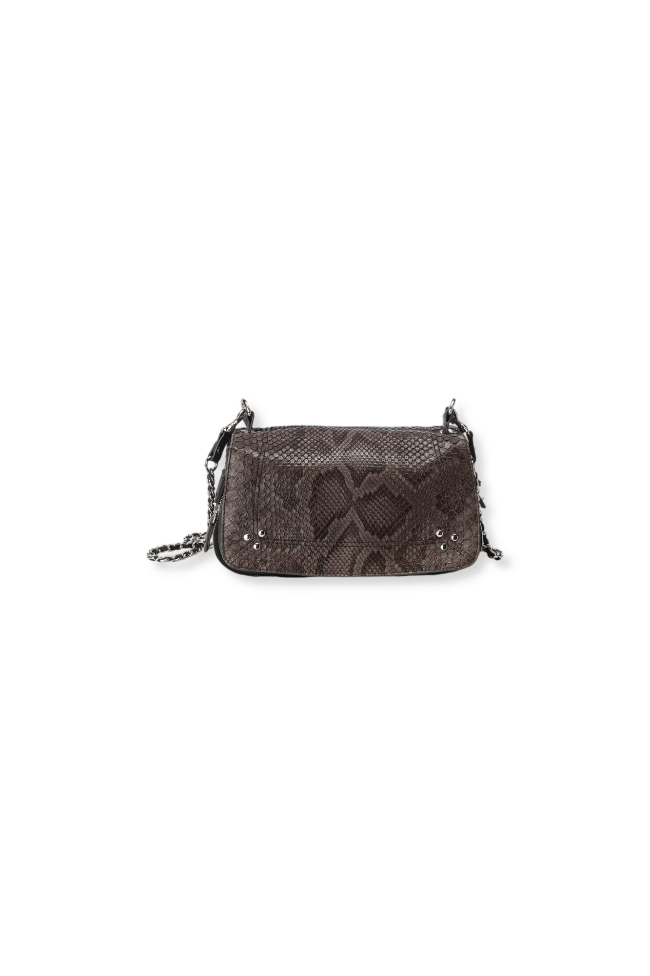Bobi Python Ardoise Jerome Dreyfuss