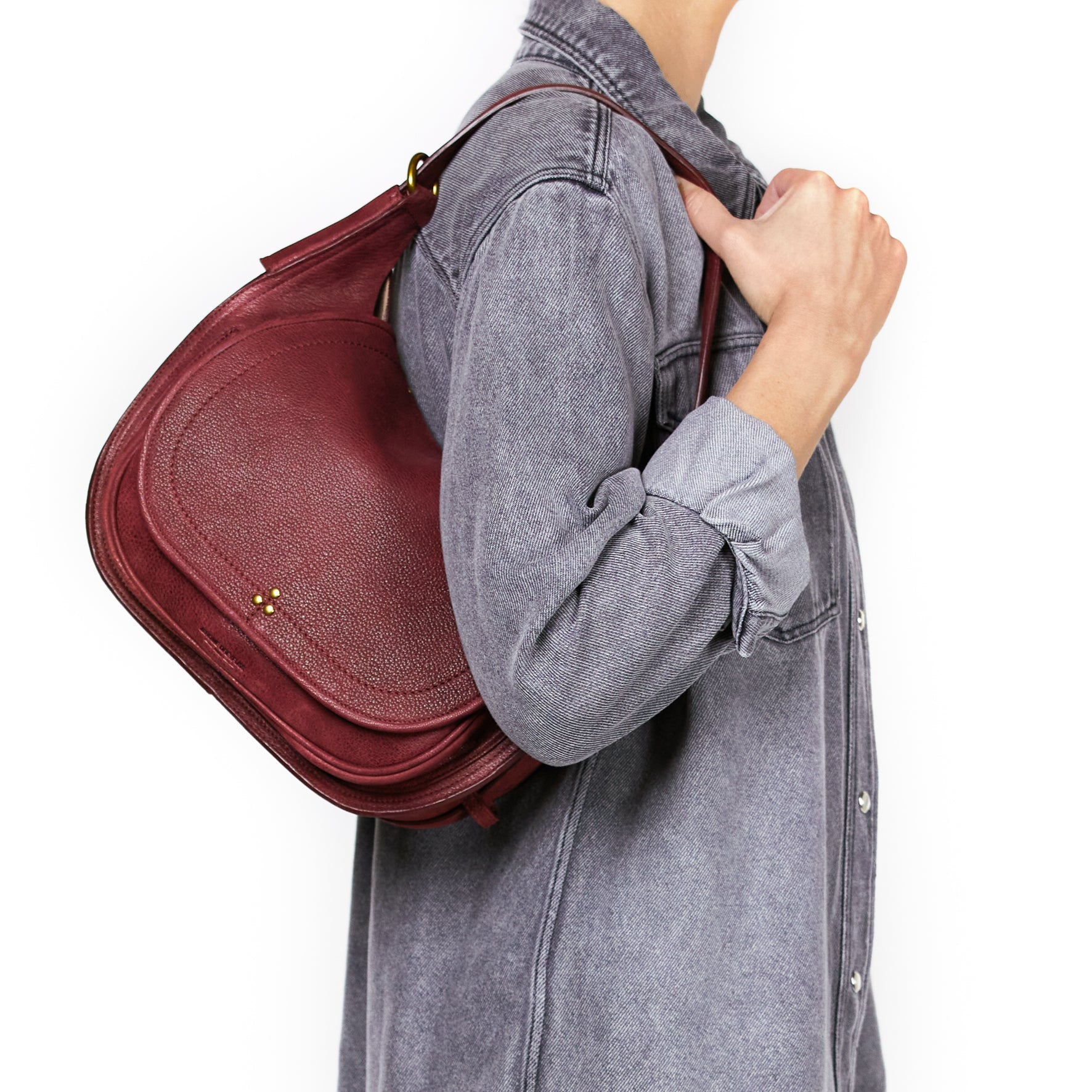 Philippe Chèvre Noircie Burgundy Jerome Dreyfuss