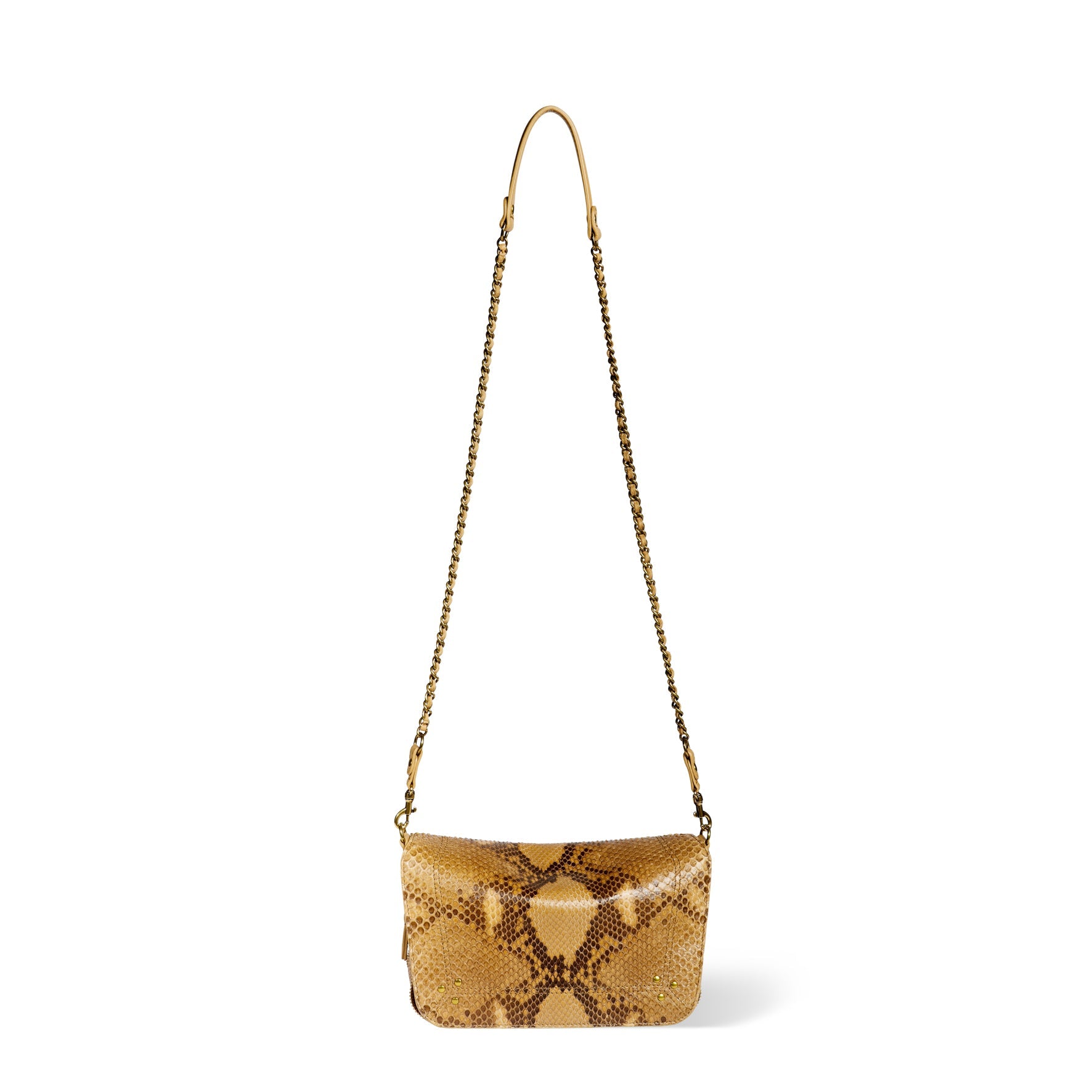 Bobi S python Gold Jerome Dreyfuss