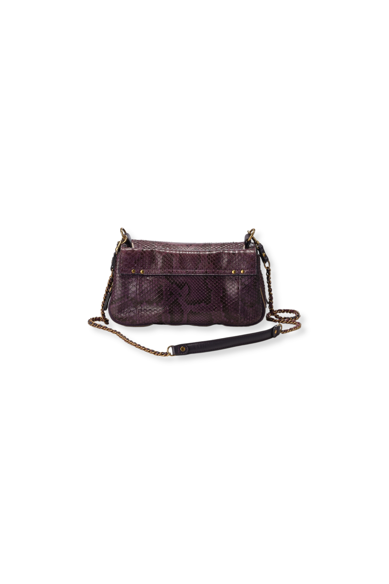 Bobi python Prune Jerome Dreyfuss