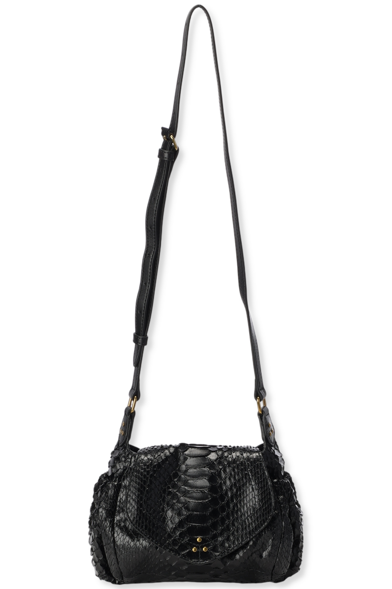 Helmut S python Noir Jerome Dreyfuss