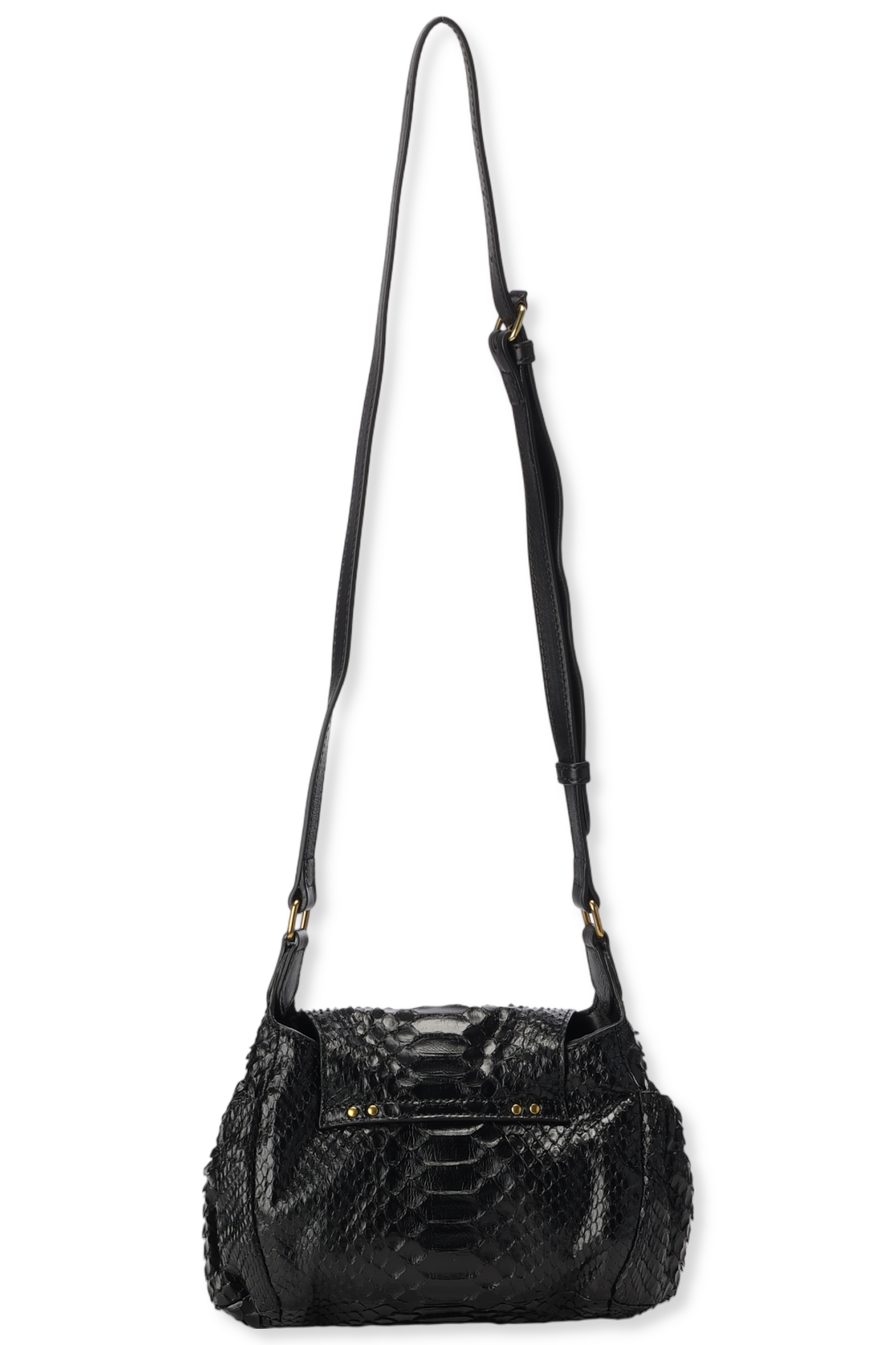 Helmut S python Noir Jerome Dreyfuss
