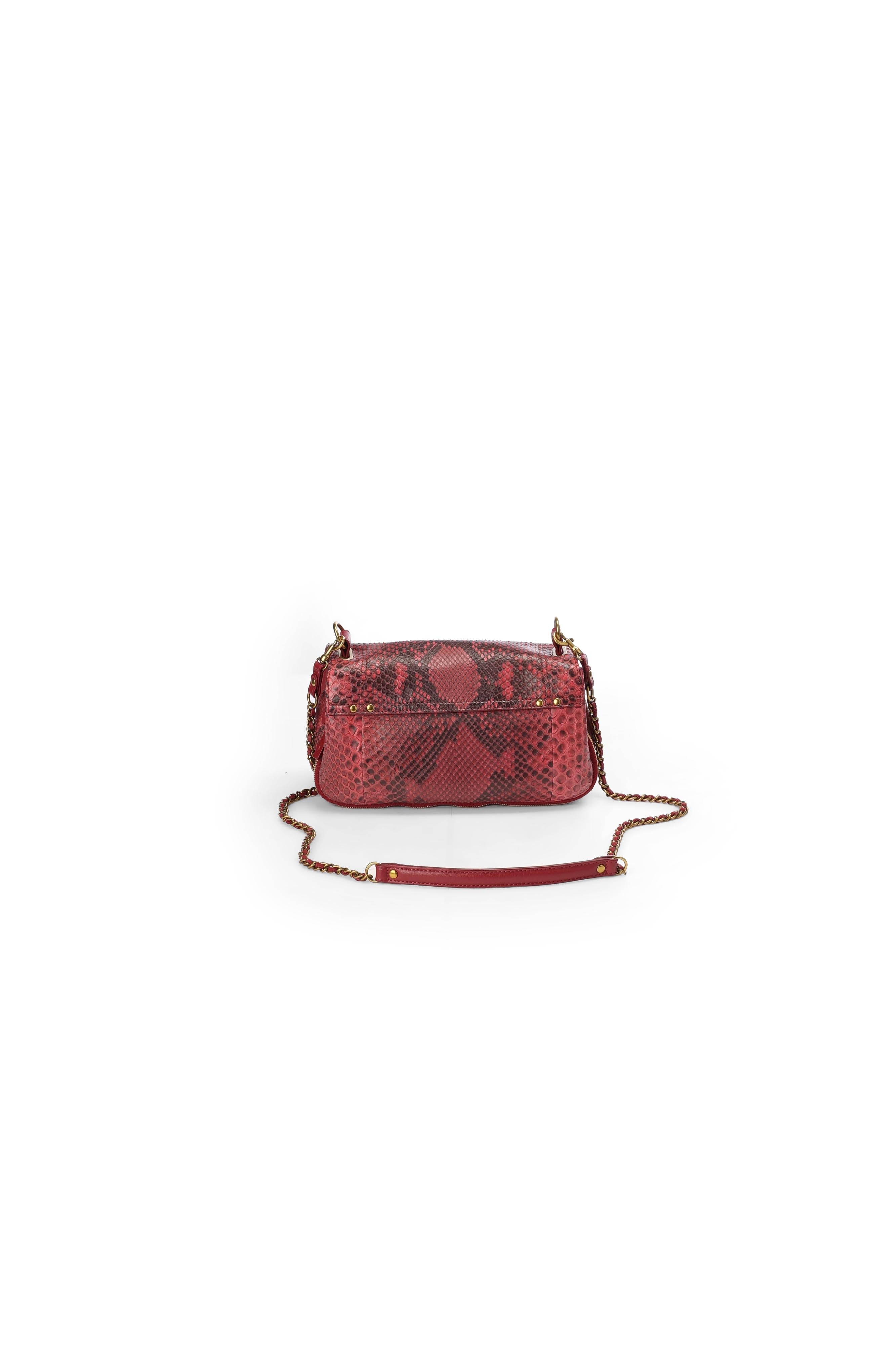 Bobi python framboise Jerome Dreyfuss