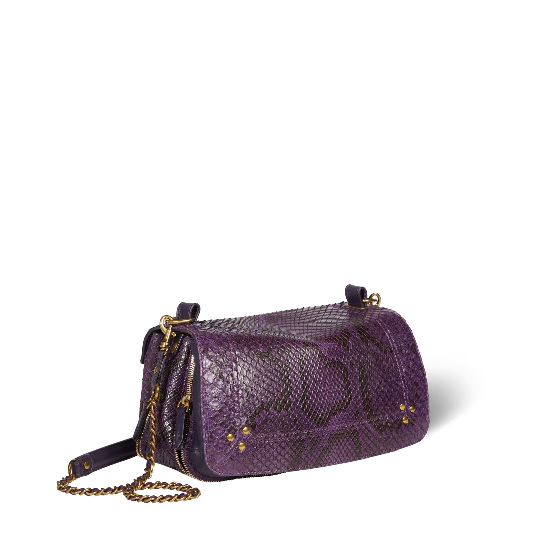 Bobi python Prune Jerome Dreyfuss