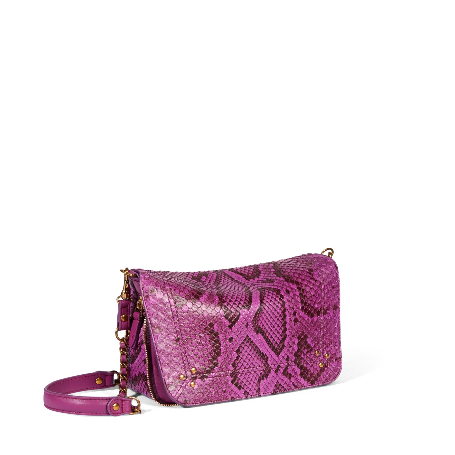 Bobi S python Orchidée Jerome Dreyfuss